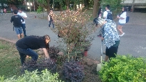 105-1植栽設計